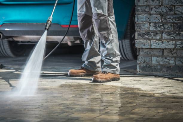 Best Restaurant Pressure Washing  in Elmo, TX